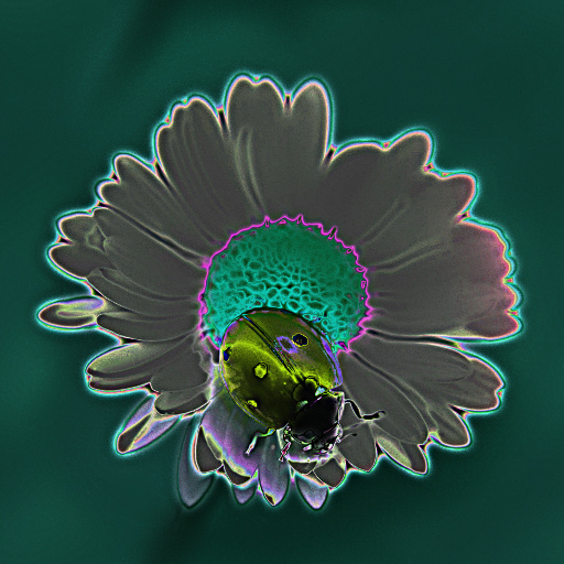 Variation 2