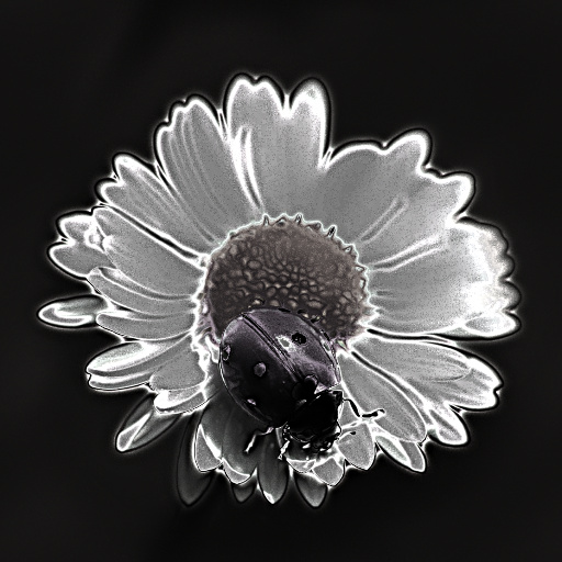 Variation 3