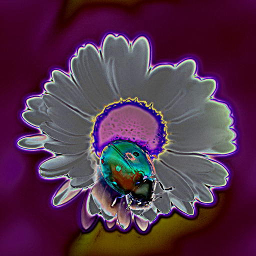 Variation 4