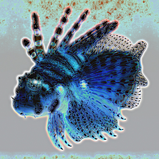 Variation 5