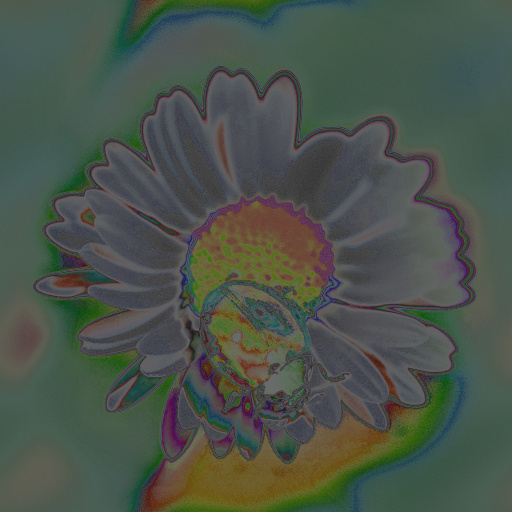 Variation 8