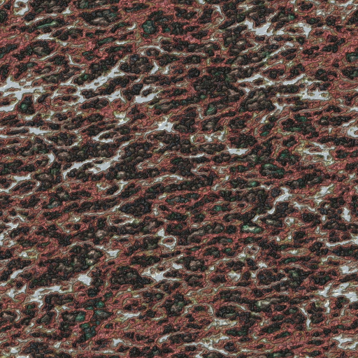 Variation 4