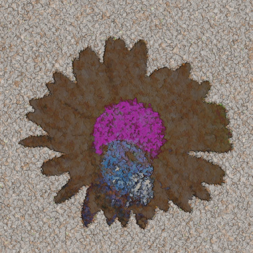 Variation 3