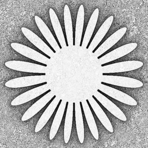 Ambient Occlusion Map