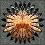 Mirror Image Wall Ornament Photo Effect