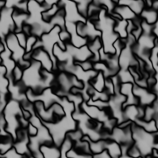 Bump Map