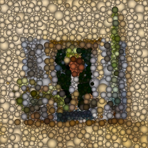 Variation 8