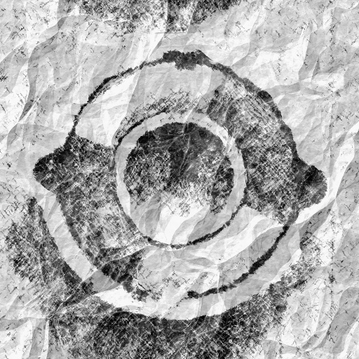 Variation 7