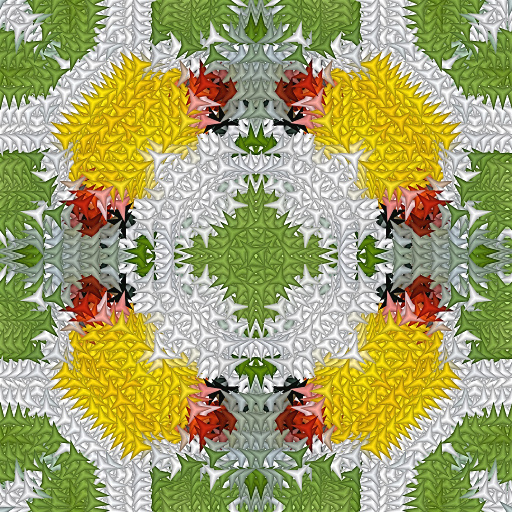 Variation 7