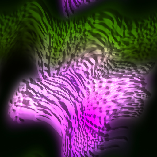Variation 8