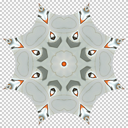 Variation 6