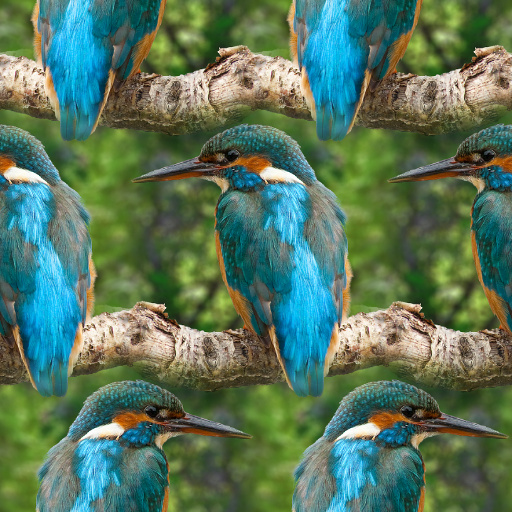 Variation 1