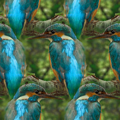 Variation 5