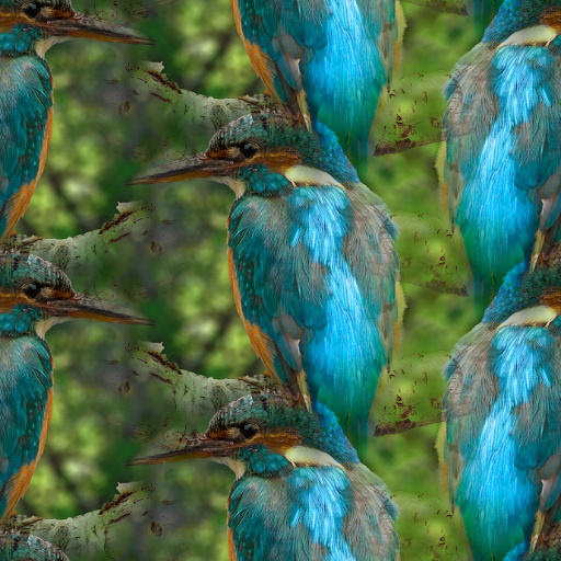 Variation 7