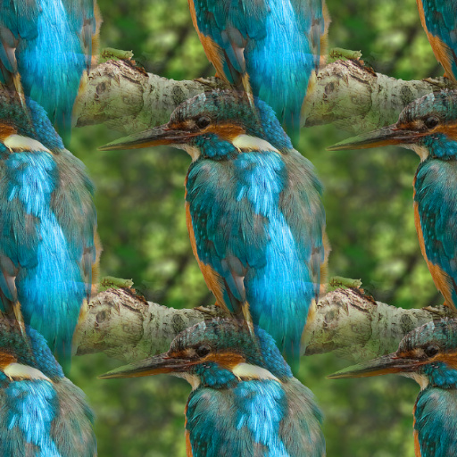 Variation 8
