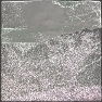 zxc Using your Adjustment