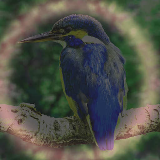 Variation 6