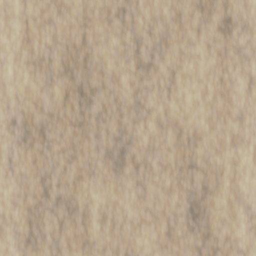 Diffuse Map