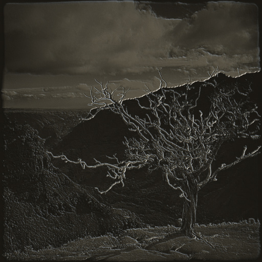 Variation 3