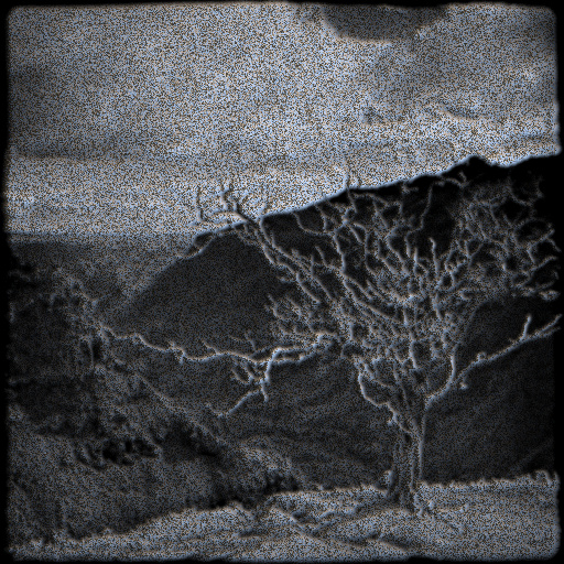 Variation 7