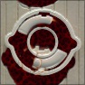 Spongiformia 3D