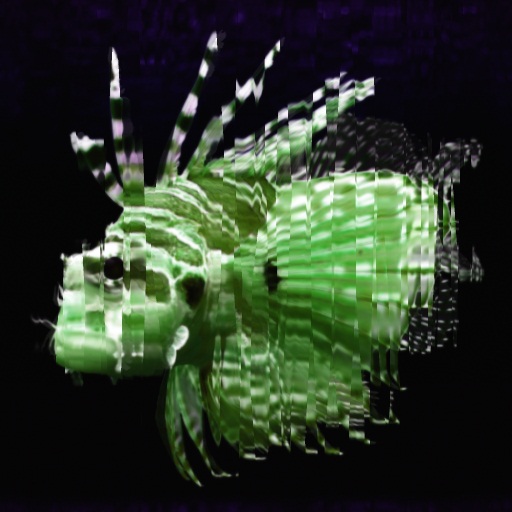 Variation 8