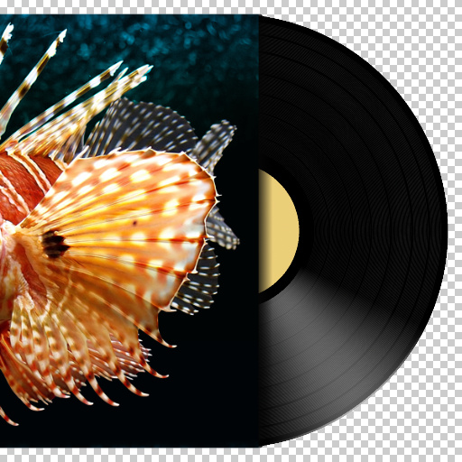 Variation 5