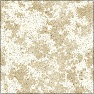 Eggshell & Spots
