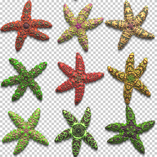 Variation 7