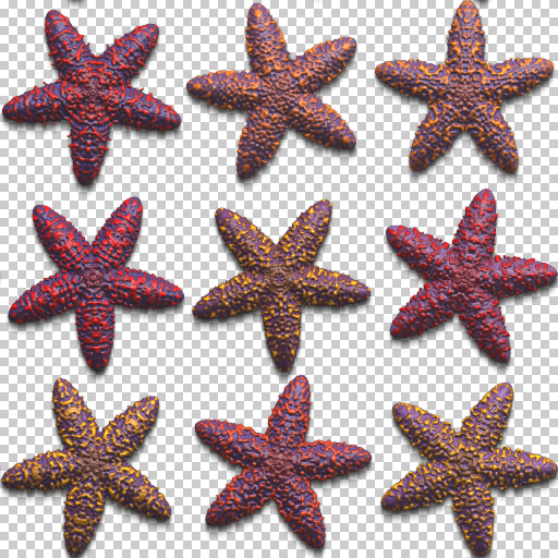 Starfish (Texture)