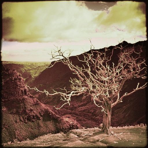 Variation 1