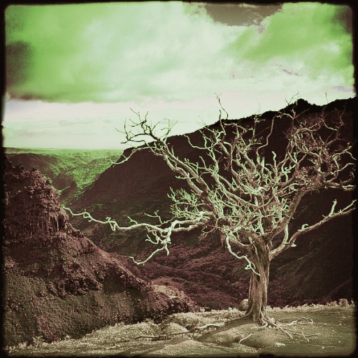 Variation 2