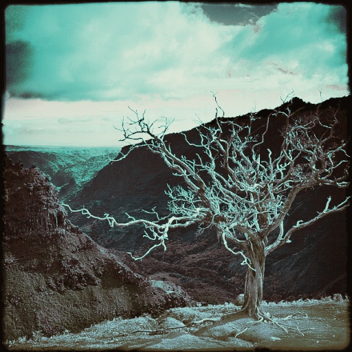 Variation 3