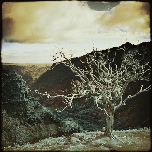 Variation 4