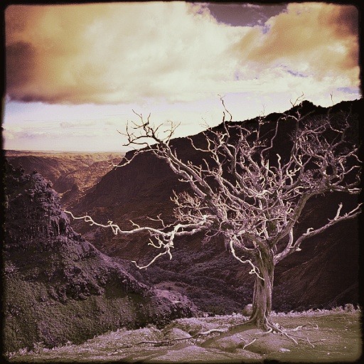 Variation 5