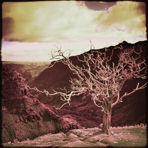 Variation 6