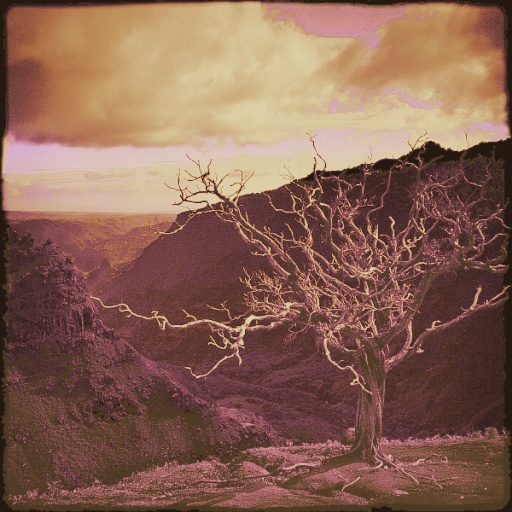 Variation 7