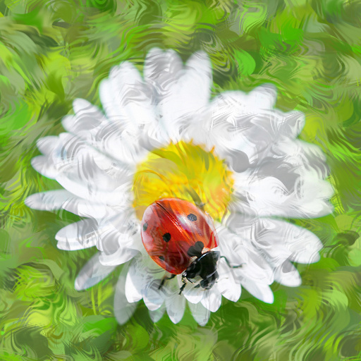 Variation 1
