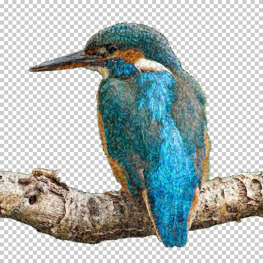 Variation 5