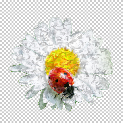Variation 8