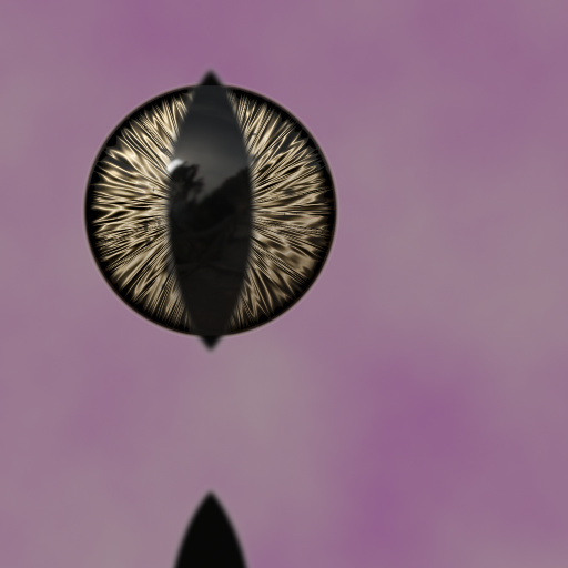 Variation 7