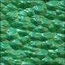 Animal Scales