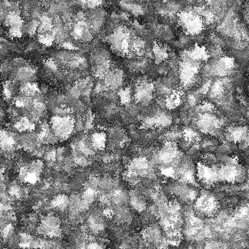Ambient Occlusion Map