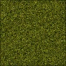 Terrain_Texture_Forest_1