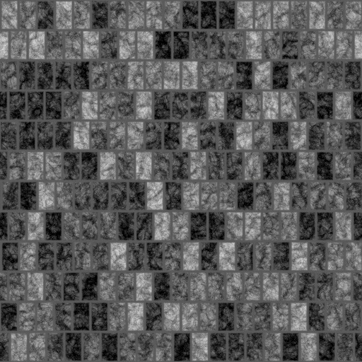 Bump Map