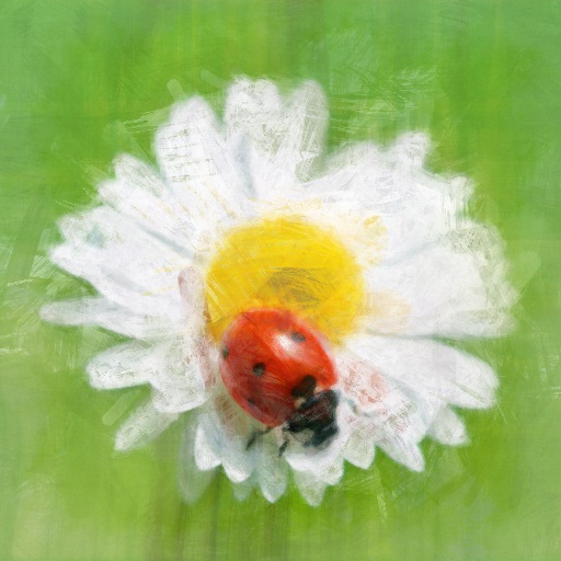 Variation 5