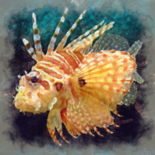 Variation 3