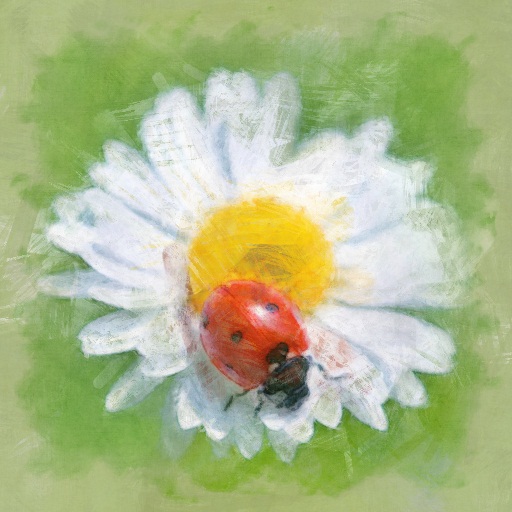 Variation 5