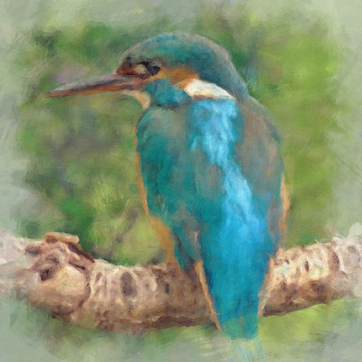 Variation 7