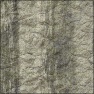 Washed Rock